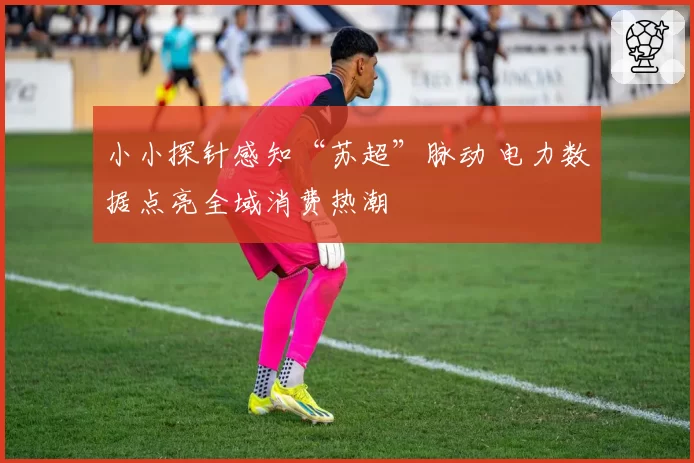 小小探针感知“苏超”脉动 电力数据点亮全域消费热潮