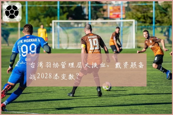 台湾羽协管理层大换血，戴资颖备战2028添变数？