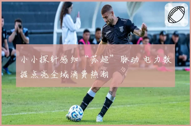 小小探针感知“苏超”脉动 电力数据点亮全域消费热潮