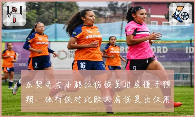 东契奇左小腿拉伤恢复进度慢于预期,独行侠对比欧文肩伤复出仅用三周差距明显