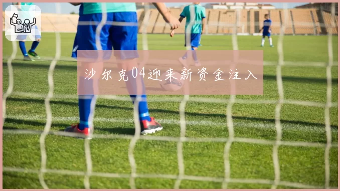 沙尔克04迎来新资金注入